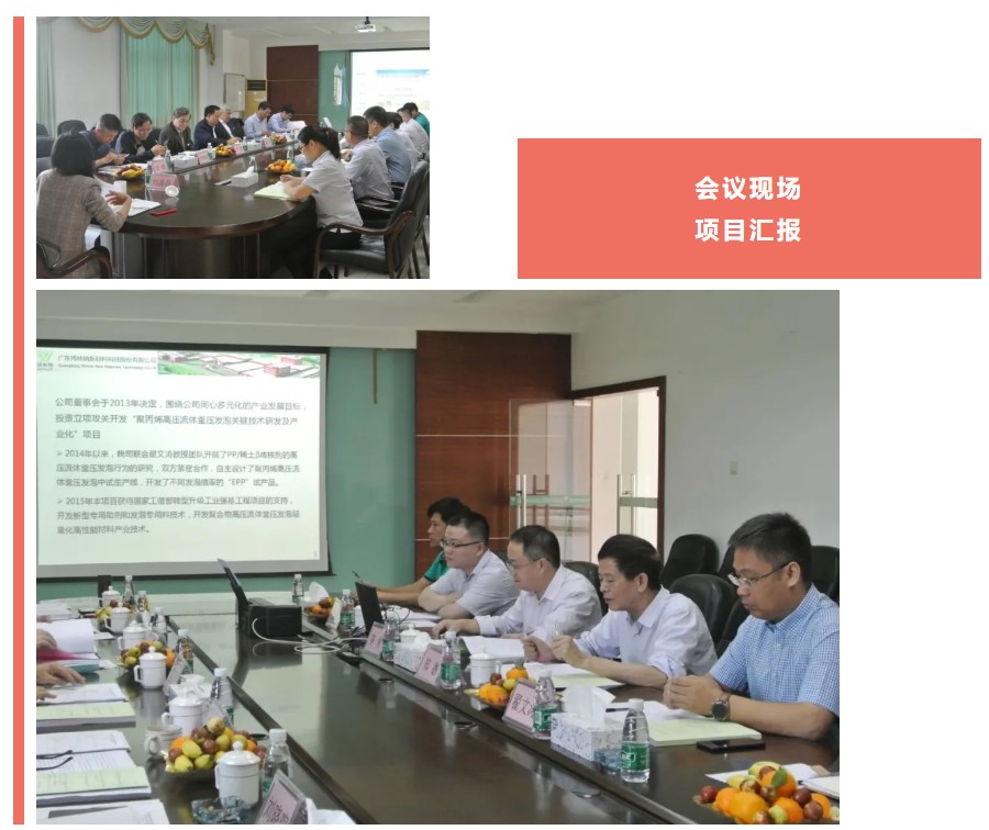 【祝賀】煒林納公司EPP產業化項目通過技術鑒定！